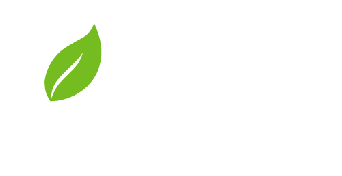 Lazo Pools